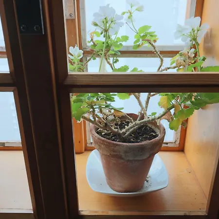 수케닉카 44 체스키크룸로프